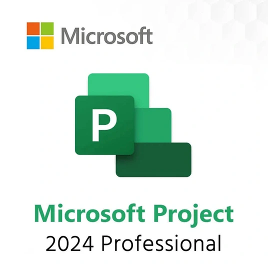 Microsoft Project Professional 2024